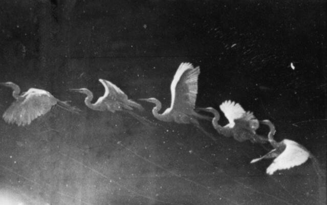 Flight Nostalgia . 35.19 Flight Nostalgia . 35