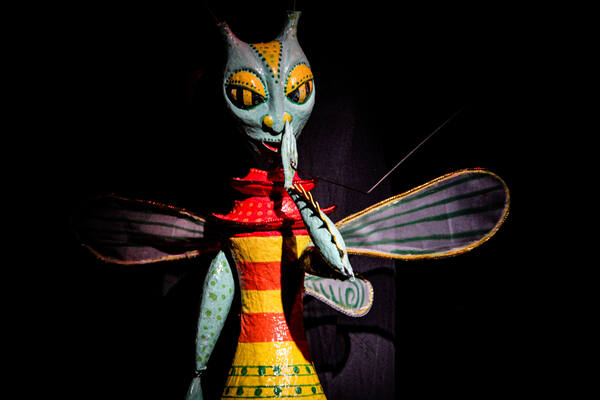 Saaraci, the Last Desert Grasshopper . 39.23 Saaraci, the Last Desert Grasshopper . 39